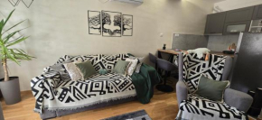 Apartmani Djuric Grey